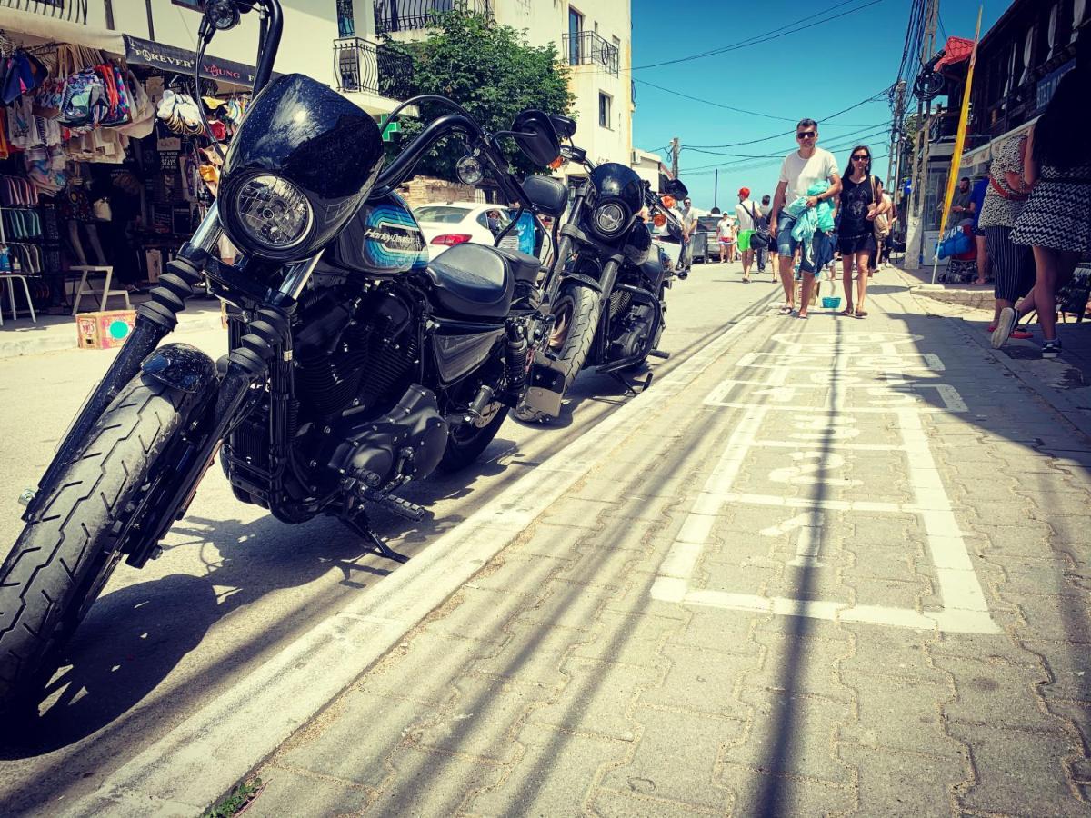 بيت شباب Bazart فاما فيكي المظهر الخارجي الصورة